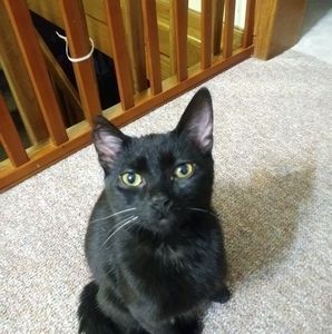 Meet your Posher, Ellen